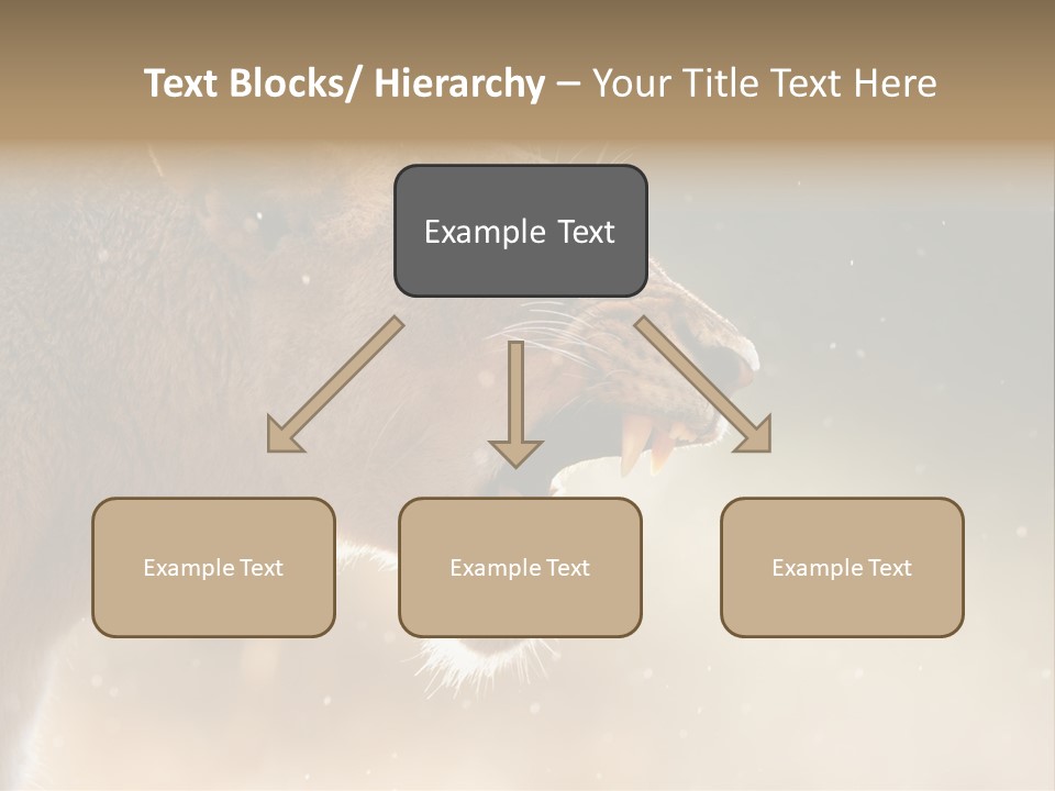 Action Nobody Open PowerPoint Template