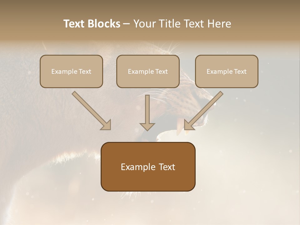Action Nobody Open PowerPoint Template