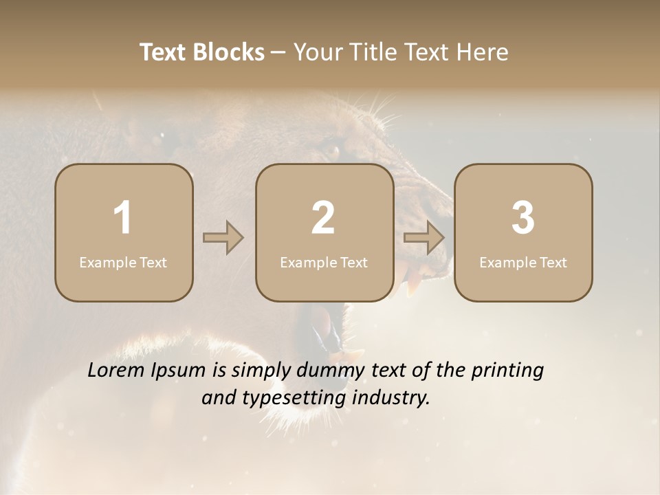 Action Nobody Open PowerPoint Template