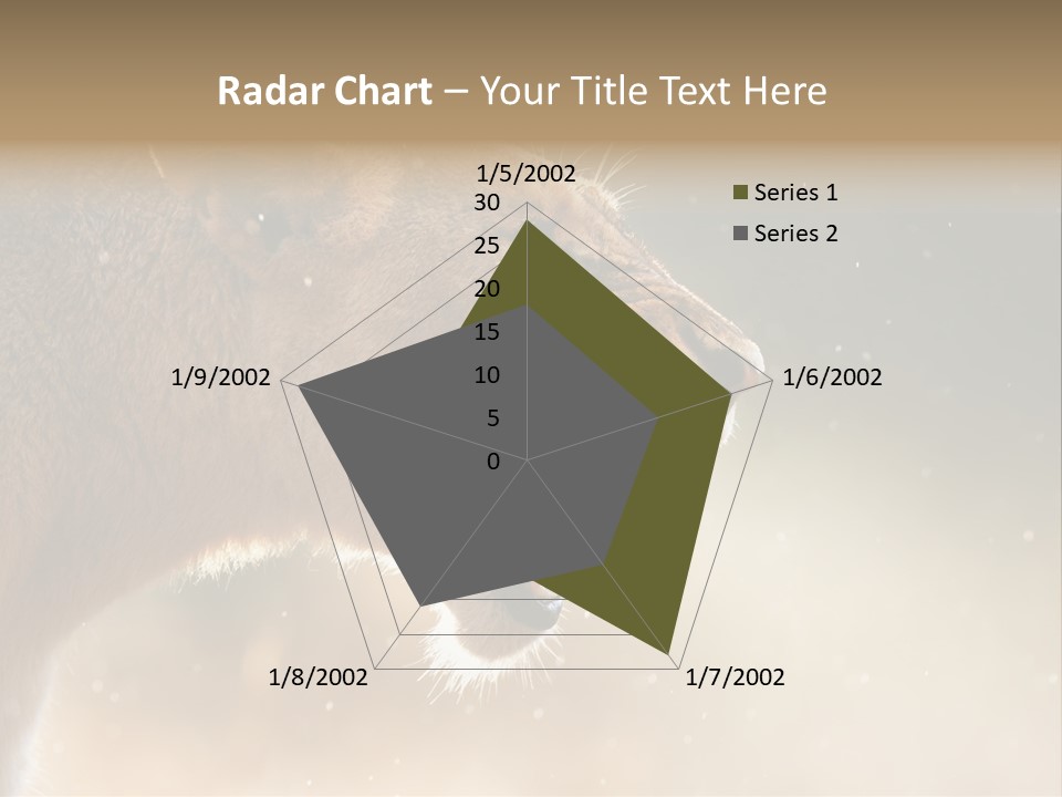 Action Nobody Open PowerPoint Template