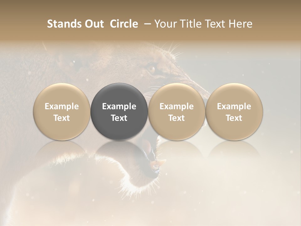 Action Nobody Open PowerPoint Template