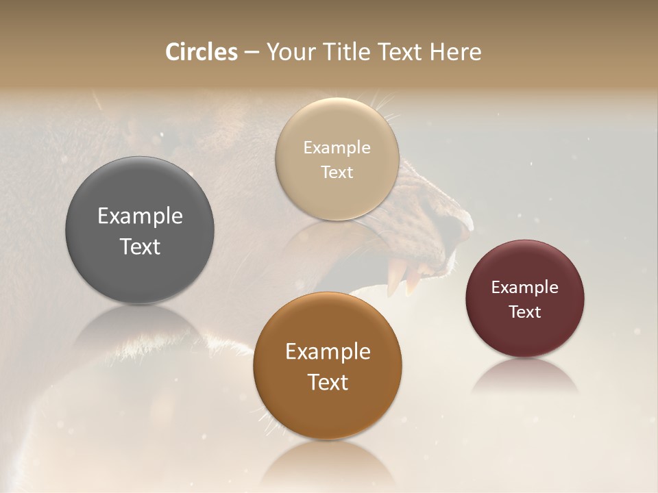 Action Nobody Open PowerPoint Template