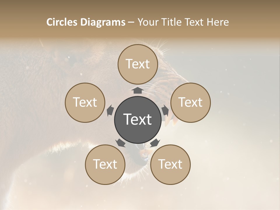 Action Nobody Open PowerPoint Template