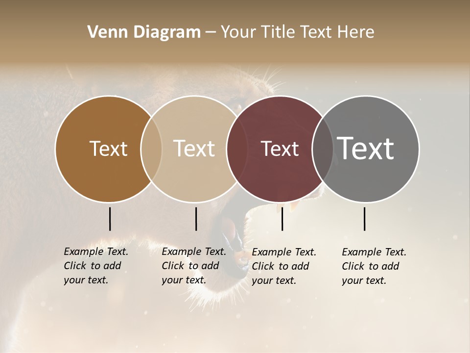 Action Nobody Open PowerPoint Template