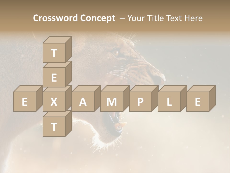 Action Nobody Open PowerPoint Template