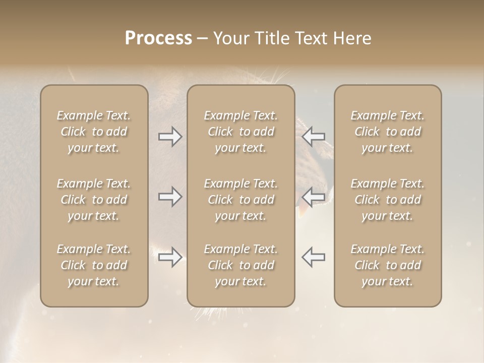 Action Nobody Open PowerPoint Template
