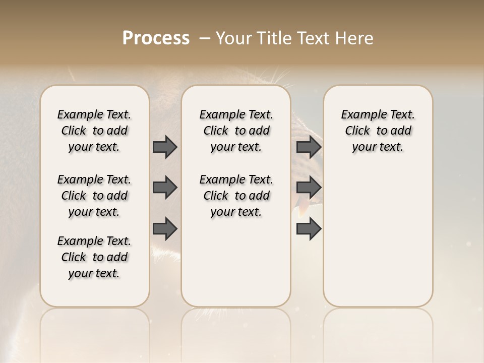 Action Nobody Open PowerPoint Template