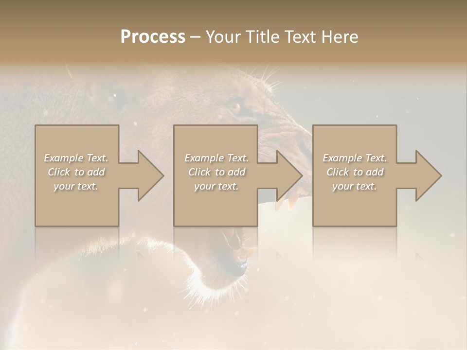 Action Nobody Open PowerPoint Template