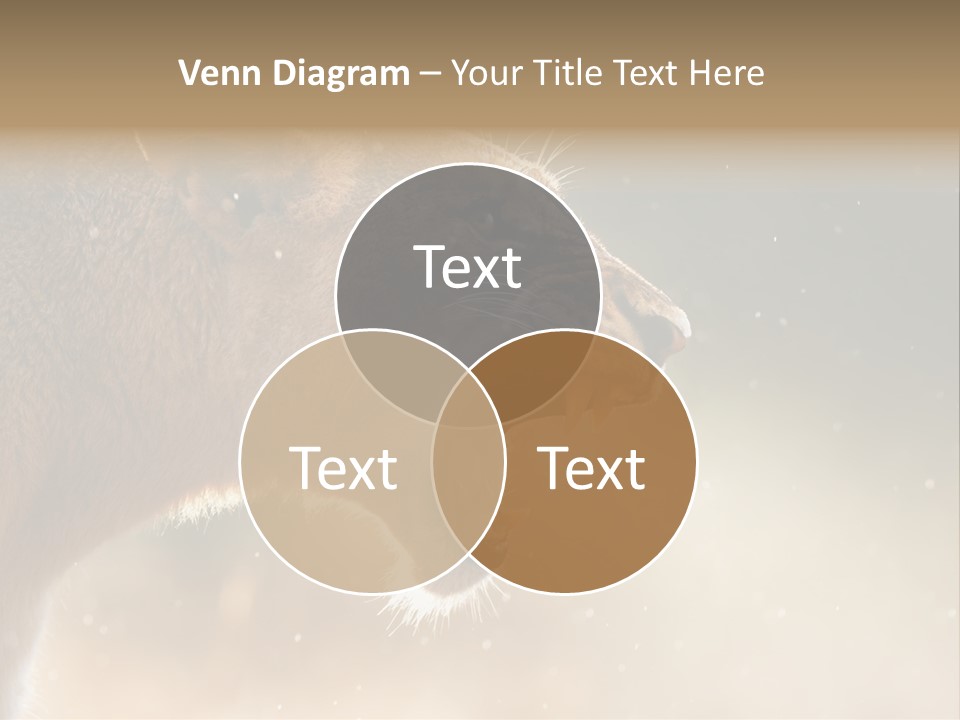 Action Nobody Open PowerPoint Template