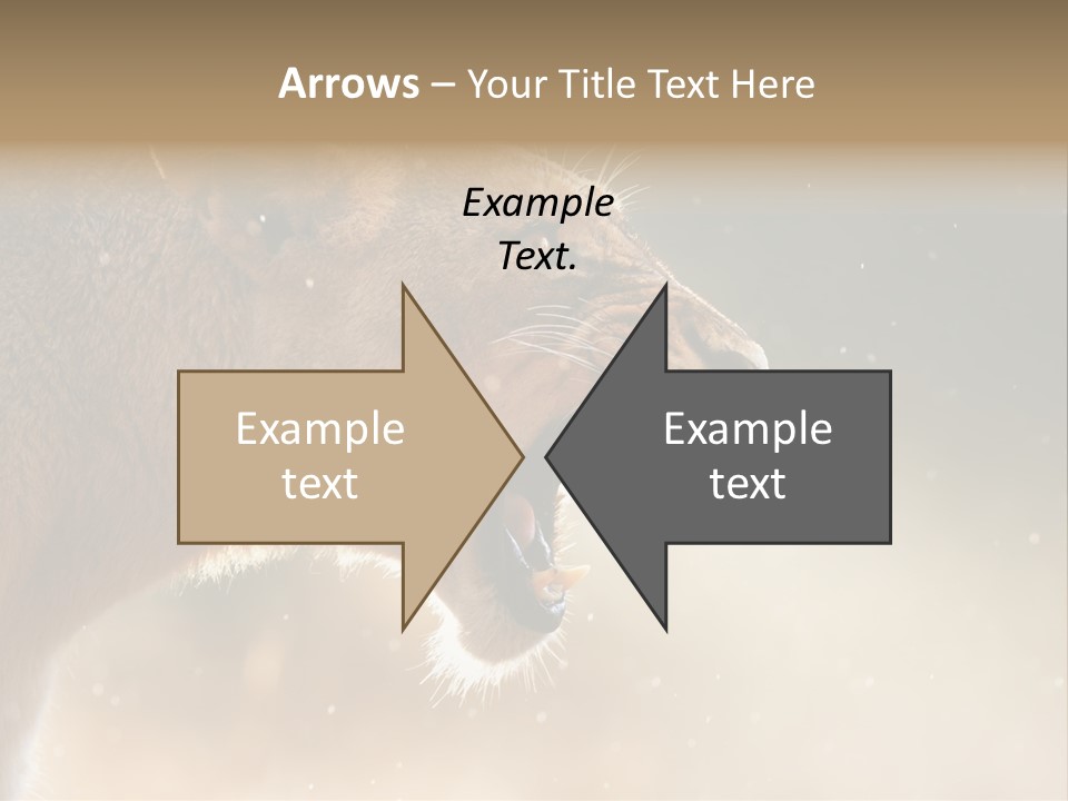 Action Nobody Open PowerPoint Template