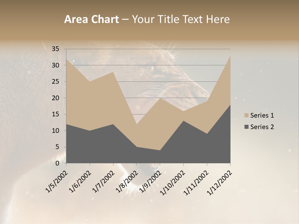 Action Nobody Open PowerPoint Template