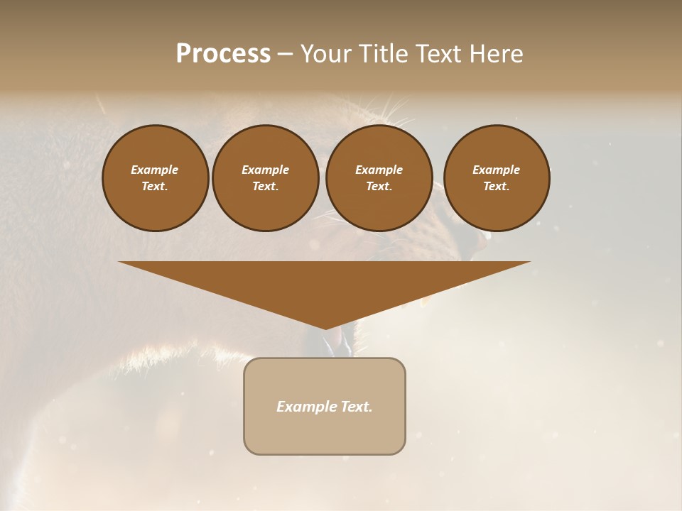 Action Nobody Open PowerPoint Template