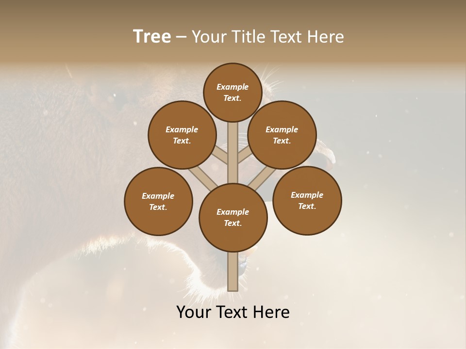 Action Nobody Open PowerPoint Template