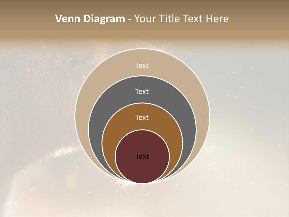 Action Nobody Open PowerPoint Template