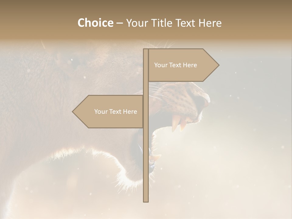 Action Nobody Open PowerPoint Template