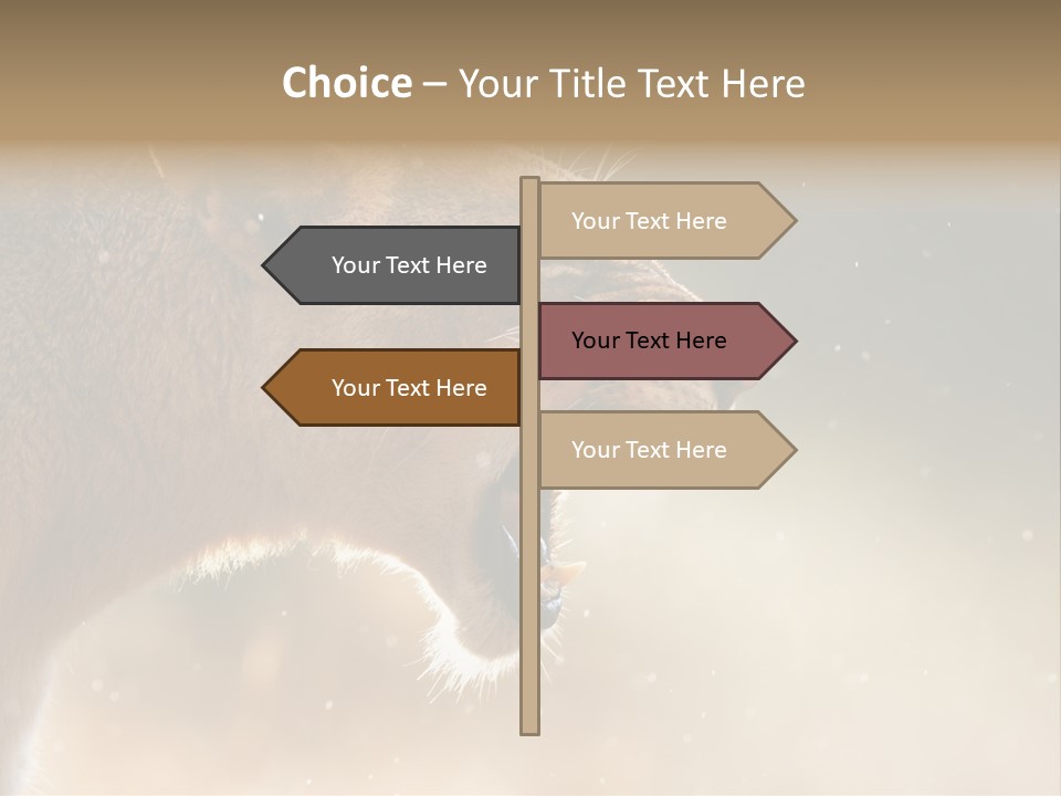 Action Nobody Open PowerPoint Template