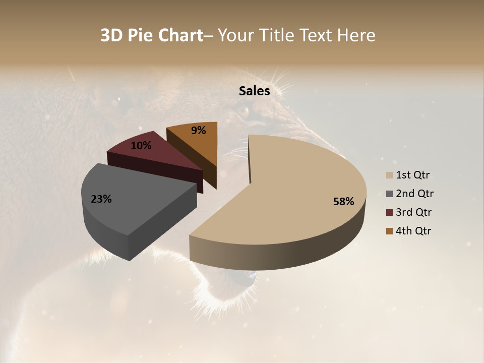Action Nobody Open PowerPoint Template
