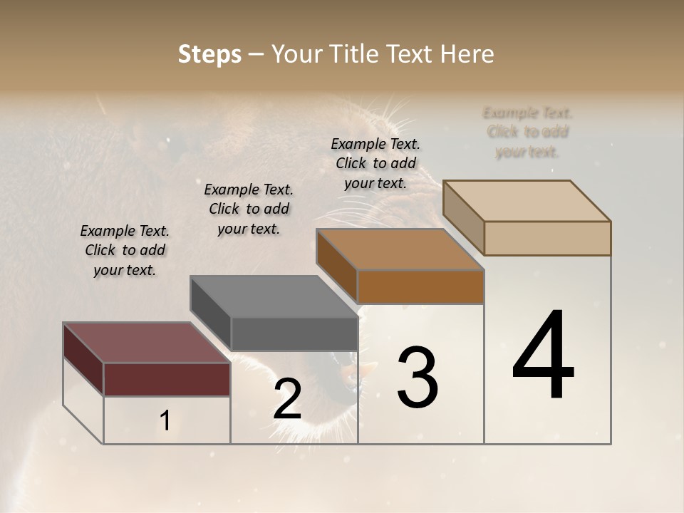 Action Nobody Open PowerPoint Template