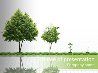 Evolution Germination White PowerPoint Template