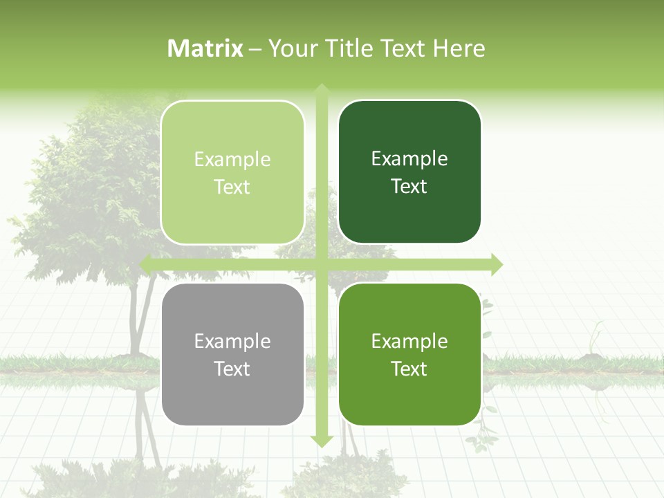 Evolution Germination White PowerPoint Template