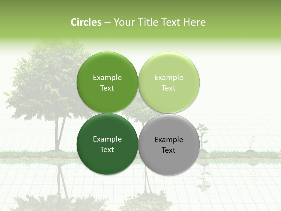 Evolution Germination White PowerPoint Template