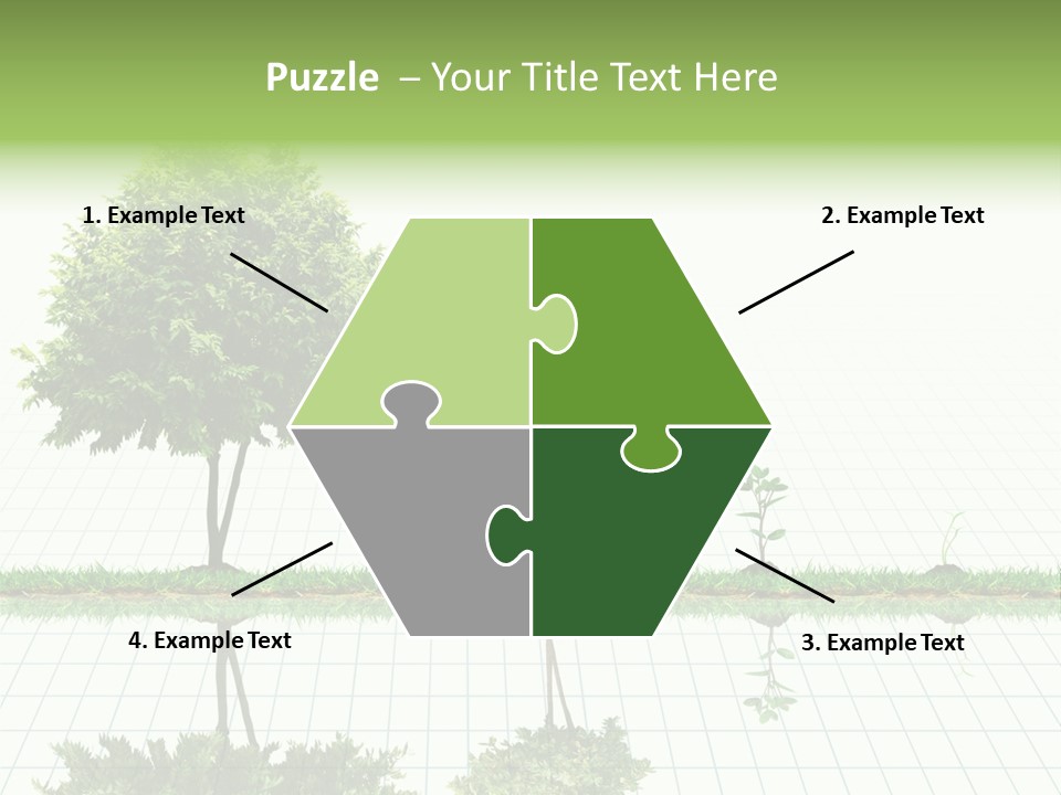 Evolution Germination White PowerPoint Template