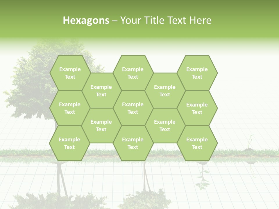 Evolution Germination White PowerPoint Template