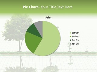 Evolution Germination White PowerPoint Template