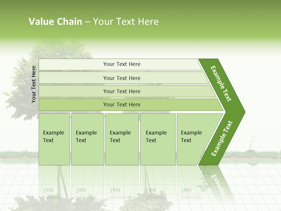 Evolution Germination White PowerPoint Template