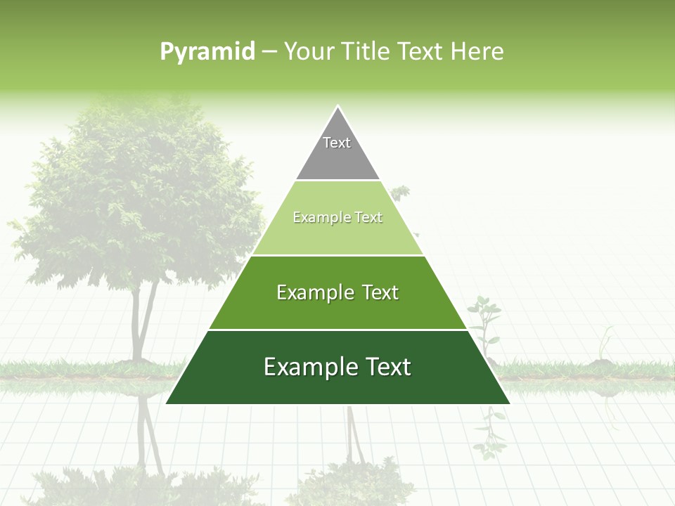 Evolution Germination White PowerPoint Template