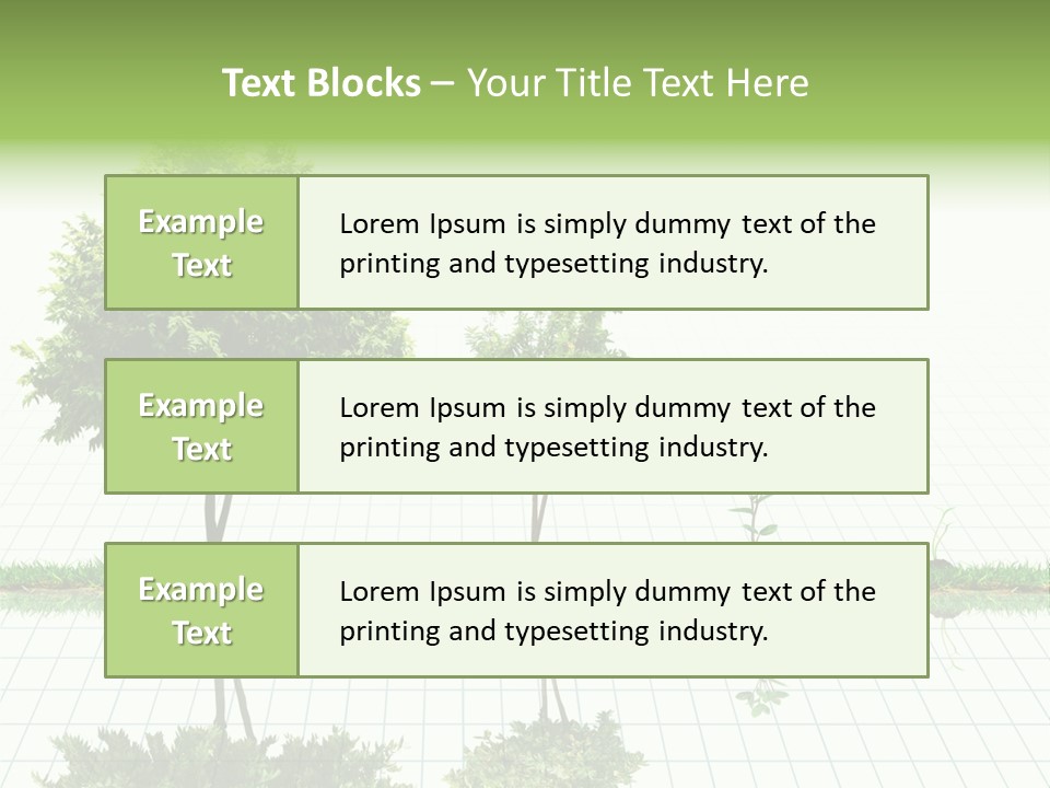 Evolution Germination White PowerPoint Template