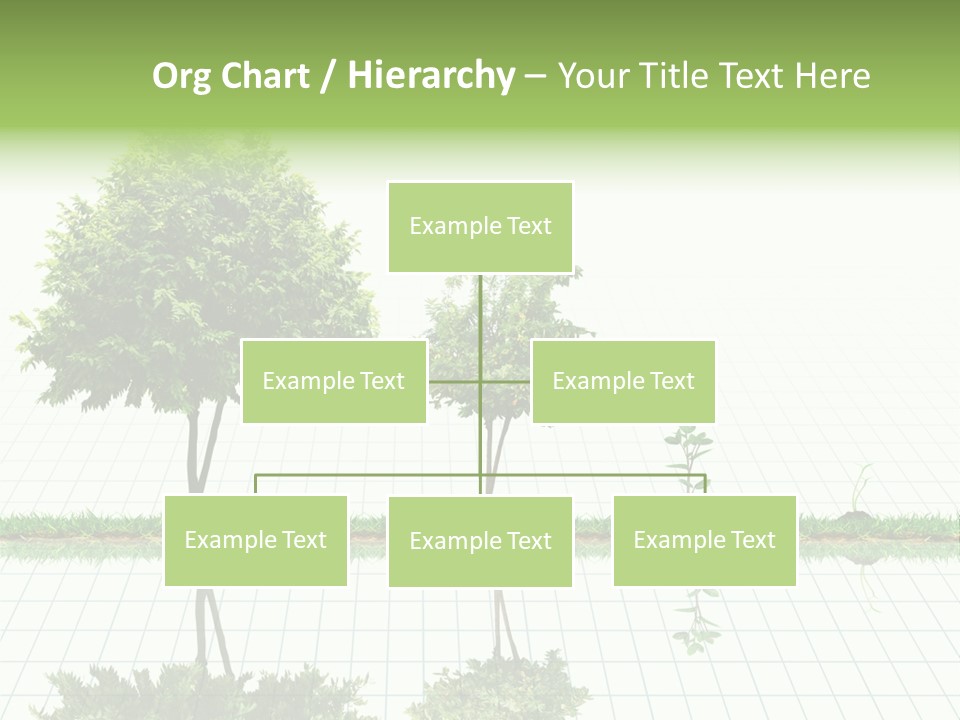 Evolution Germination White PowerPoint Template