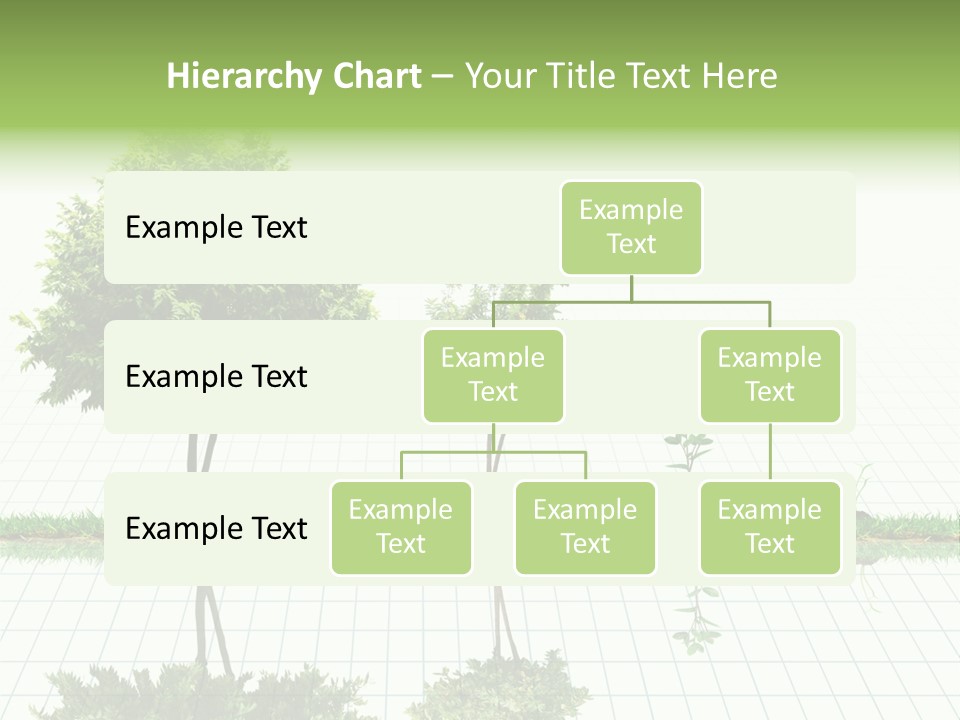 Evolution Germination White PowerPoint Template