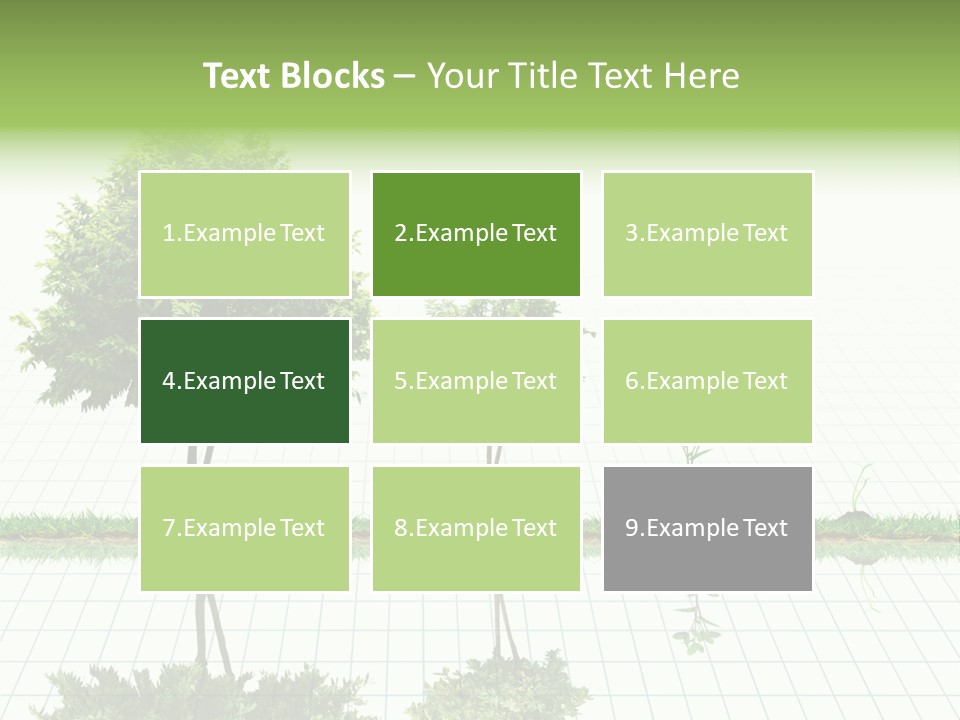 Evolution Germination White PowerPoint Template