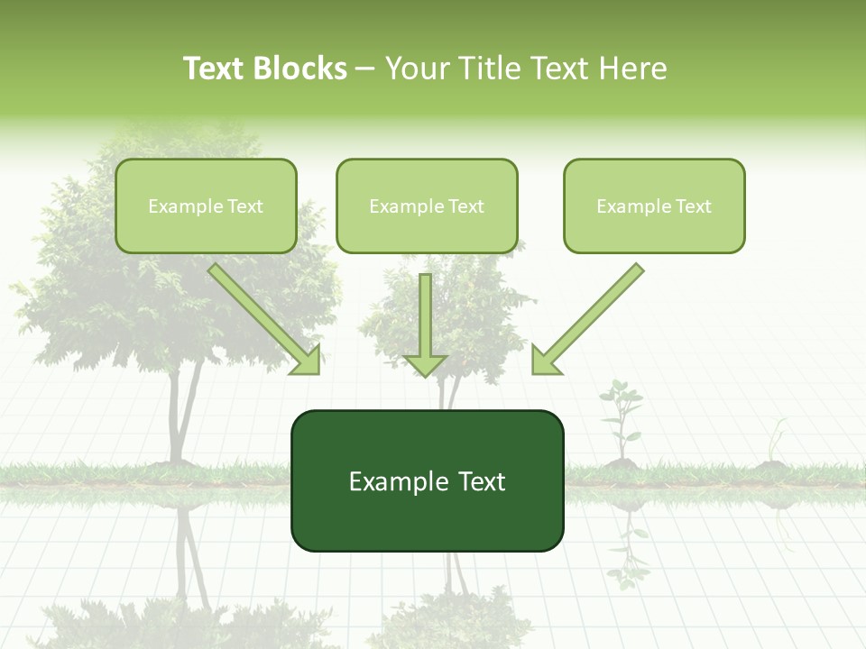 Evolution Germination White PowerPoint Template