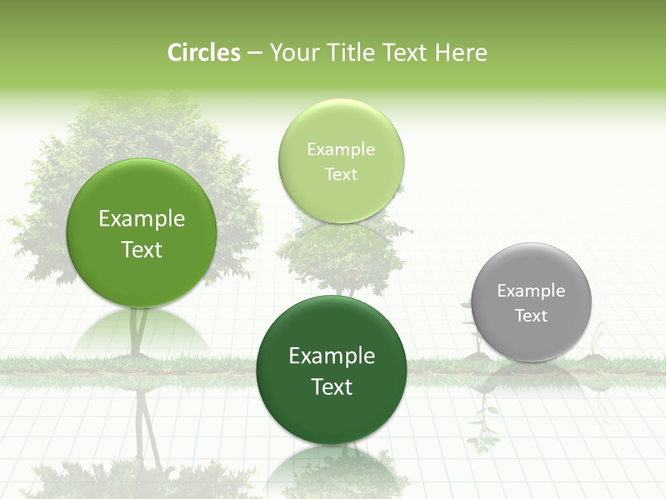 Evolution Germination White PowerPoint Template