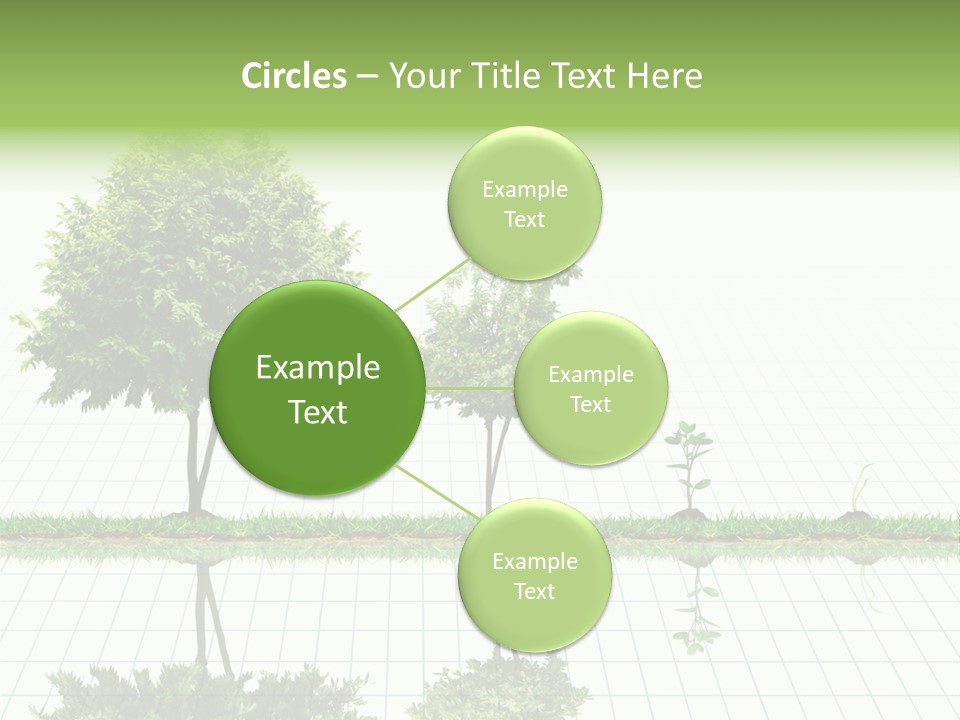 Evolution Germination White PowerPoint Template