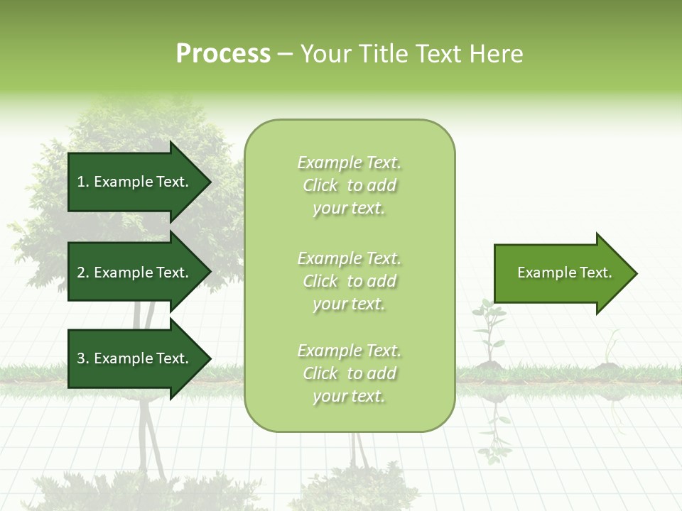 Evolution Germination White PowerPoint Template