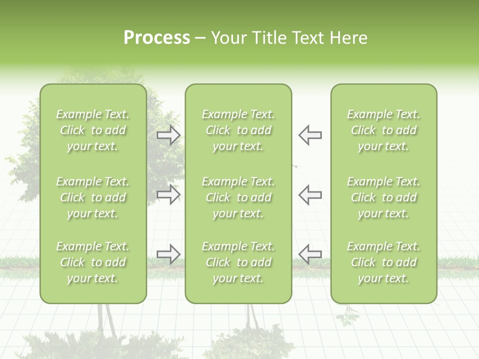 Evolution Germination White PowerPoint Template