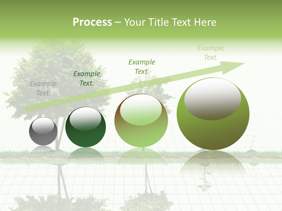 Evolution Germination White PowerPoint Template