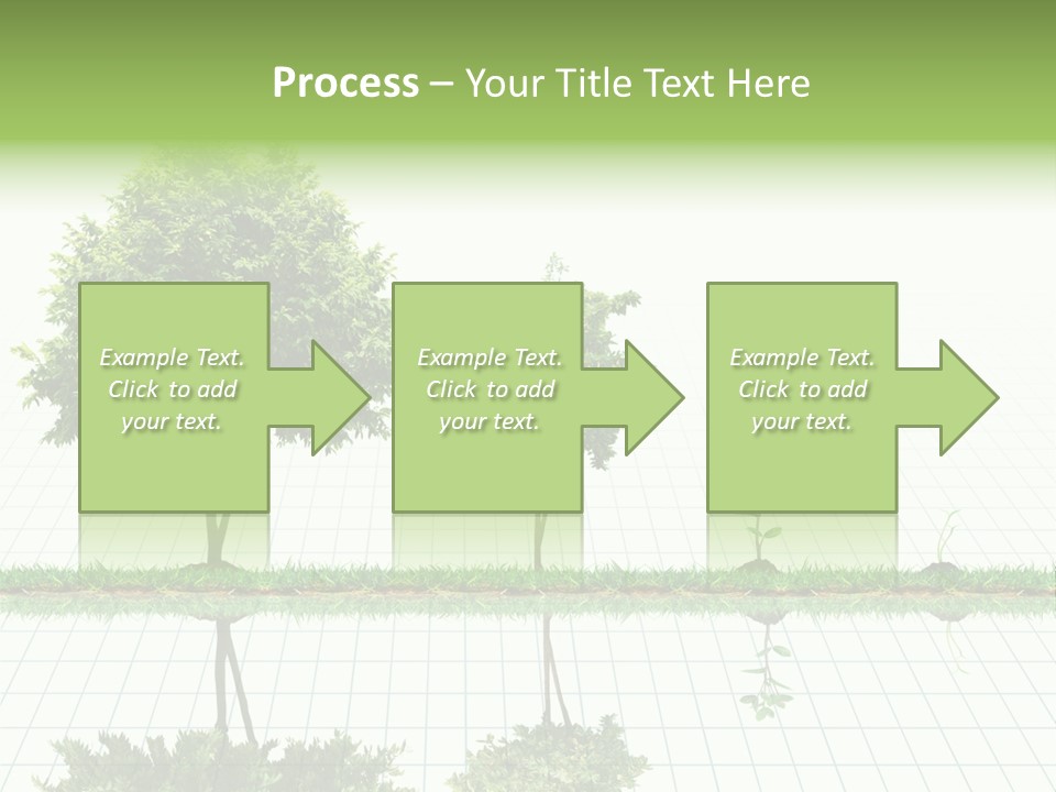 Evolution Germination White PowerPoint Template