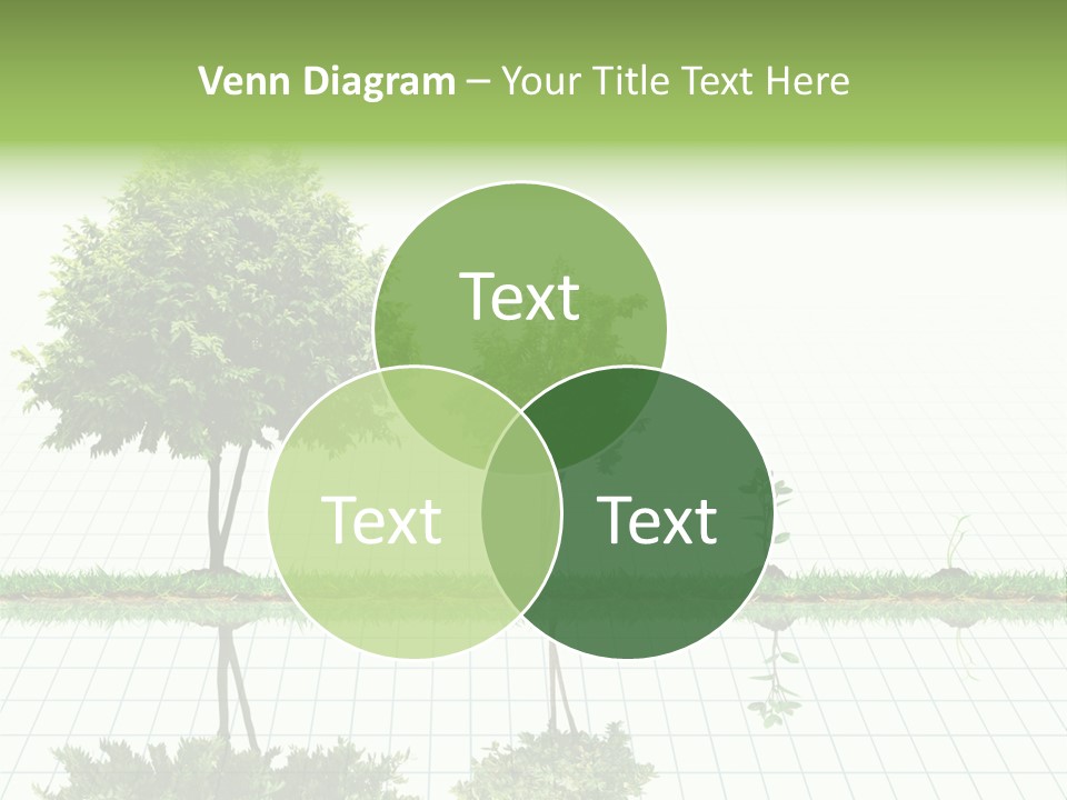 Evolution Germination White PowerPoint Template