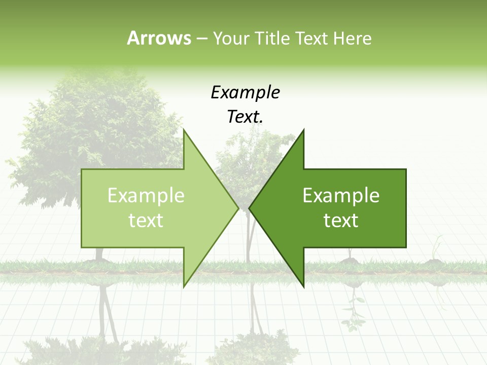 Evolution Germination White PowerPoint Template