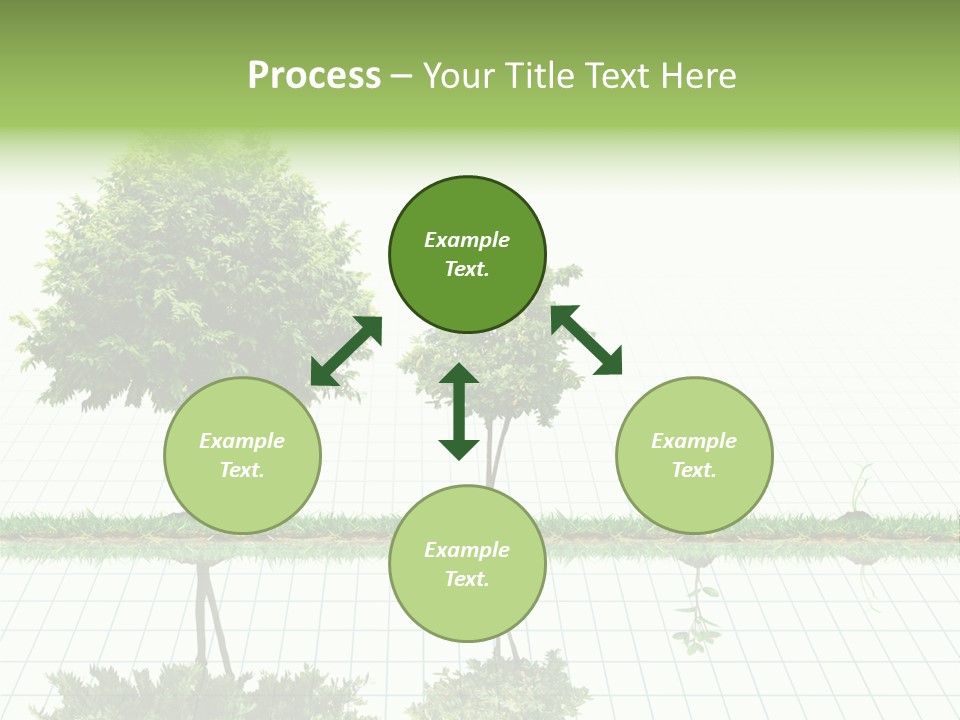 Evolution Germination White PowerPoint Template