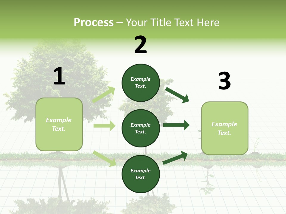 Evolution Germination White PowerPoint Template