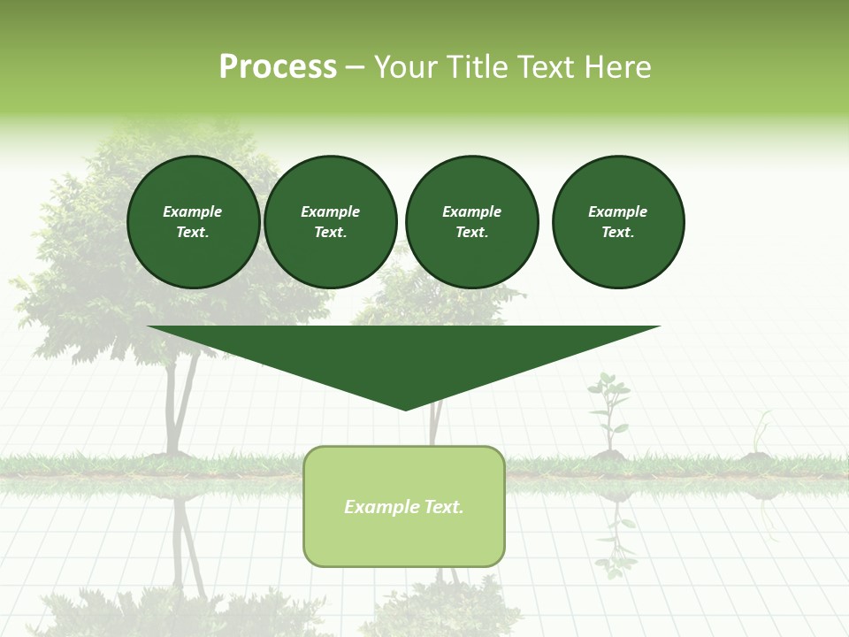 Evolution Germination White PowerPoint Template
