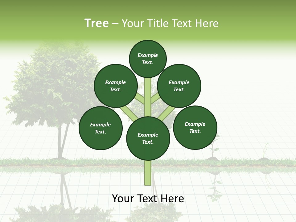 Evolution Germination White PowerPoint Template