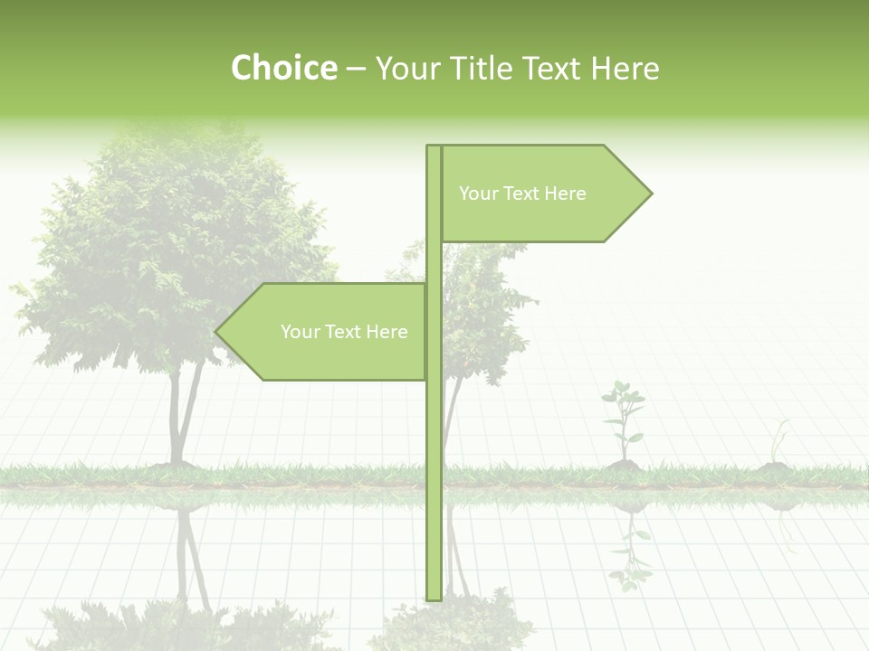 Evolution Germination White PowerPoint Template