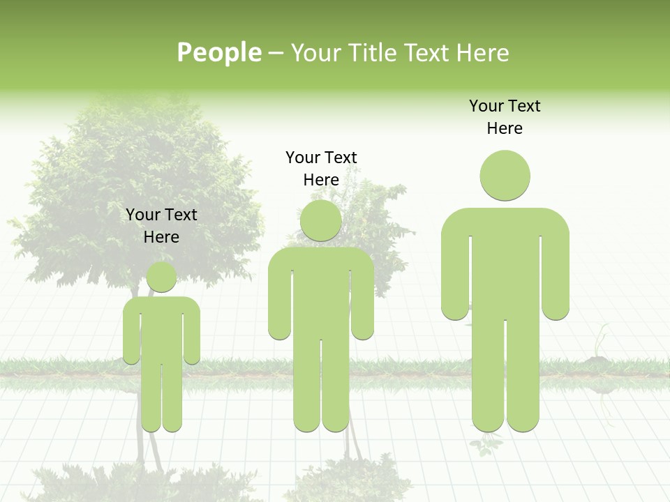 Evolution Germination White PowerPoint Template