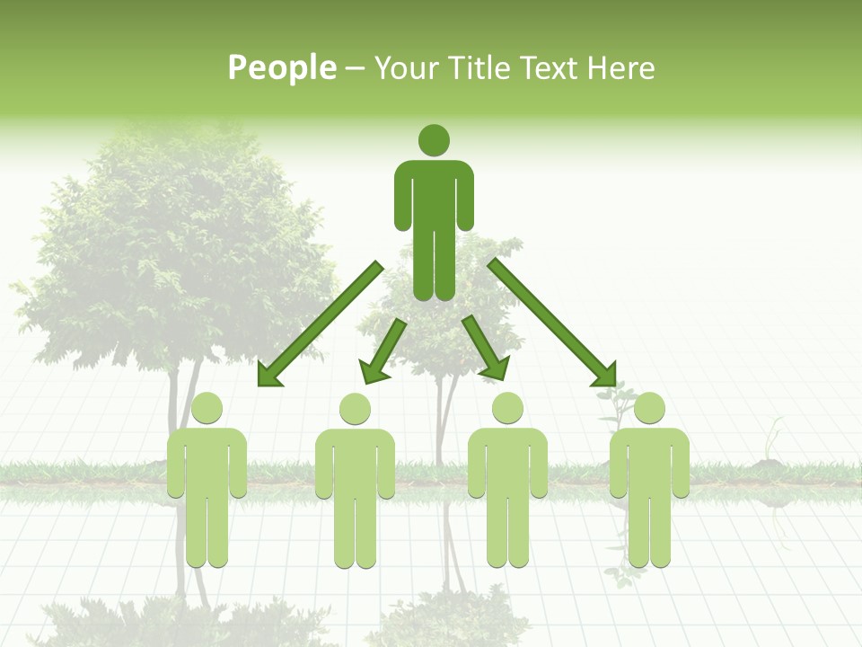 Evolution Germination White PowerPoint Template